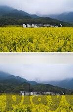 凤凰彩票杏彩-凤凰彩票杏彩，一个关于机遇与梦想的探索